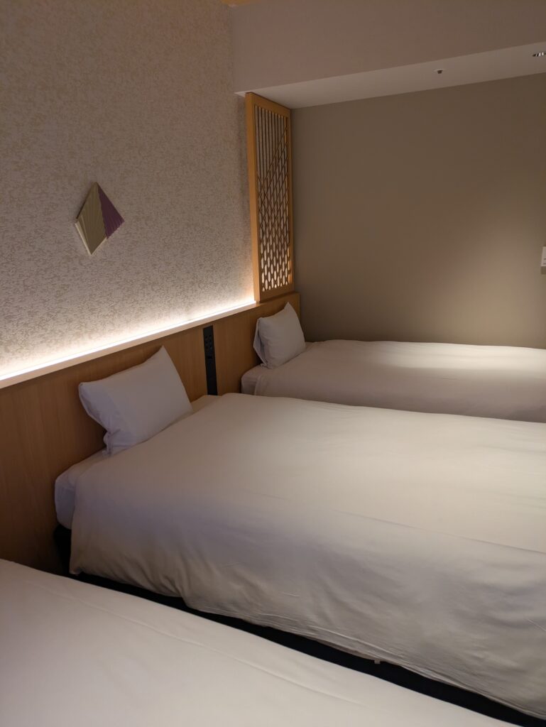 Pxl 20250810 085901053 コピー